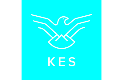Kes Logo2020 CMYK 300dpi Boxed Colour
